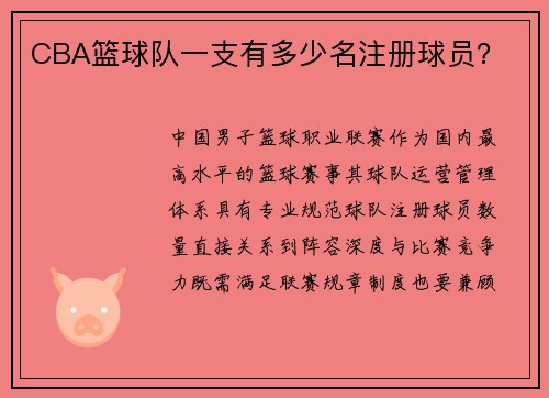 CBA篮球队一支有多少名注册球员？