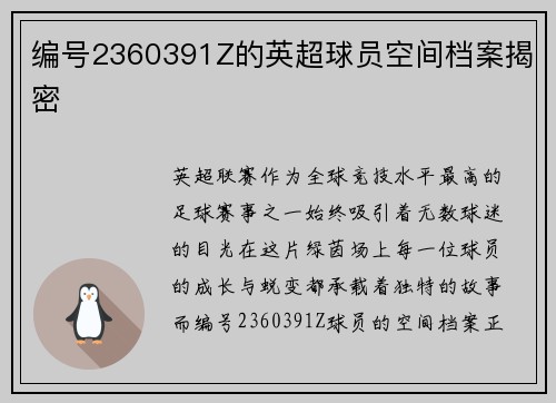 编号2360391Z的英超球员空间档案揭密